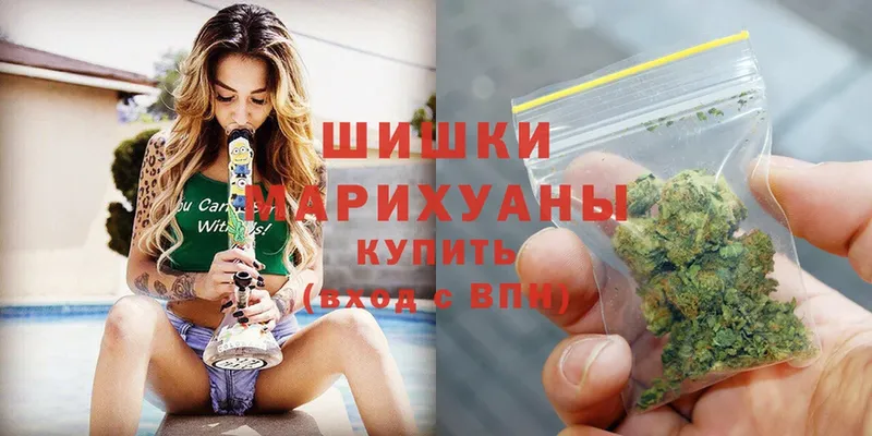 купить  цена  Зеленоградск  Бошки марихуана OG Kush 